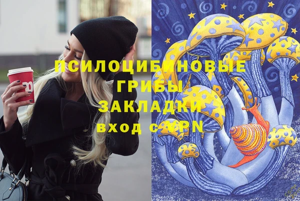 PSILOCYBIN Алексин