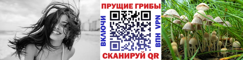 Псилоцибиновые грибы прущие грибы Алушта